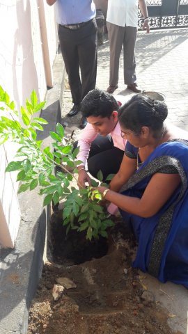 2020 නව වසරේ පළමු දින ආරම්භය