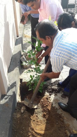 2020 නව වසරේ පළමු දින ආරම්භය