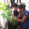 2020 නව වසරේ පළමු දින ආරම්භය