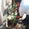 2020 නව වසරේ පළමු දින ආරම්භය