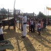 2020-02-04 ප්‍රධාන නිදහස් සමරුව 