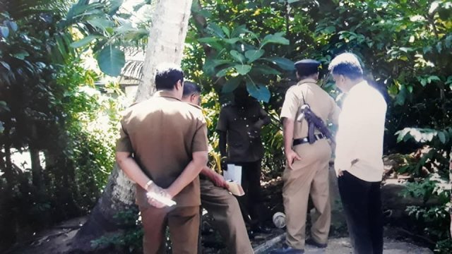 ඩෙංගු වැඩසටහන් 2019 සිට