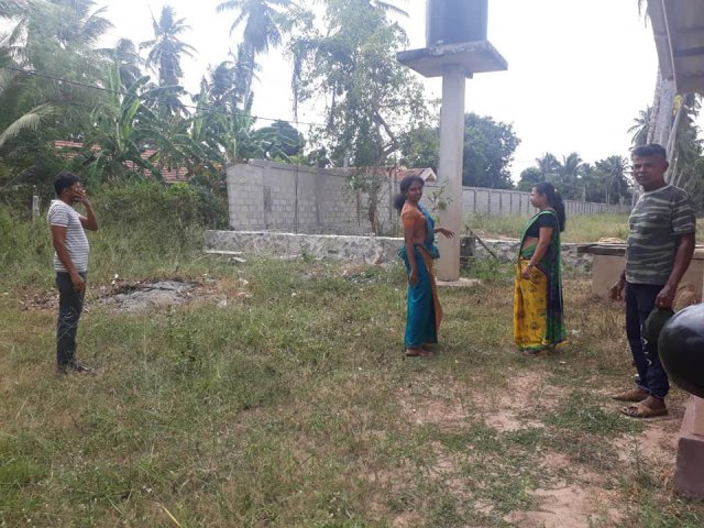 ඩෙංගු වැඩසටහන් 2019 සිට