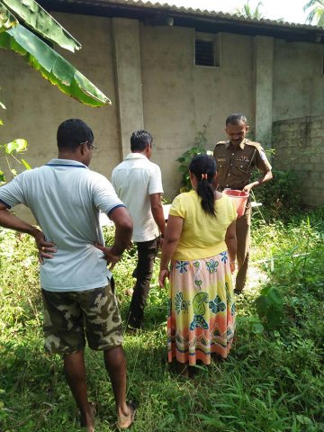 ඩෙංගු වැඩසටහන් 2019 සිට