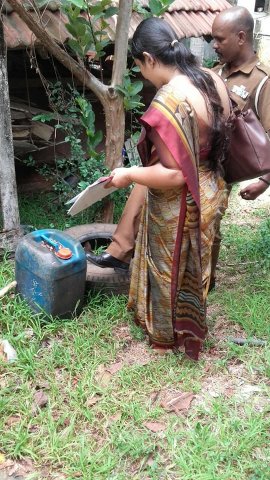 ඩෙංගු වැඩසටහන් 2019 සිට