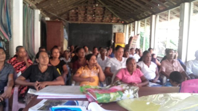 ඩෙංගු වැඩසටහන් 2019 සිට