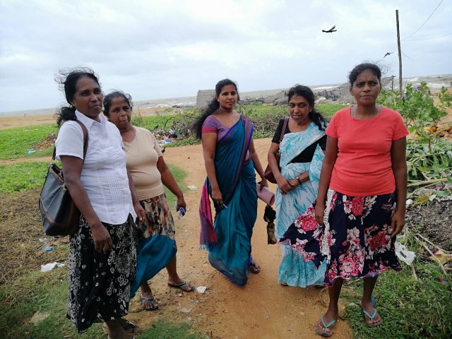 ඩෙංගු වැඩසටහන් 2019 සිට