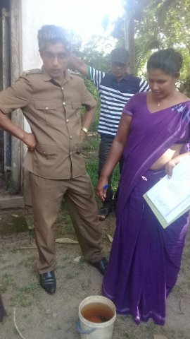 ඩෙංගු වැඩසටහන් 2019 සිට