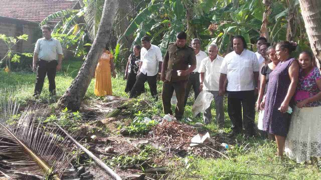 ඩෙංගු වැඩසටහන් 2019 සිට