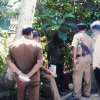 ඩෙංගු වැඩසටහන් 2019 සිට