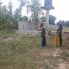 ඩෙංගු වැඩසටහන් 2019 සිට
