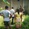 ඩෙංගු වැඩසටහන් 2019 සිට