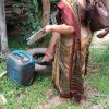 ඩෙංගු වැඩසටහන් 2019 සිට
