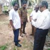 ඩෙංගු වැඩසටහන් 2019 සිට