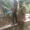 ඩෙංගු වැඩසටහන් 2019 සිට