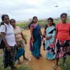 ඩෙංගු වැඩසටහන් 2019 සිට