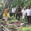 ඩෙංගු වැඩසටහන් 2019 සිට