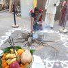 තෛයිපොංගල් උත්සවය 2019