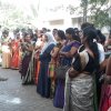තෛයිපොංගල් උත්සවය 2019